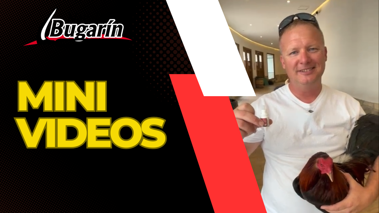 ver videos