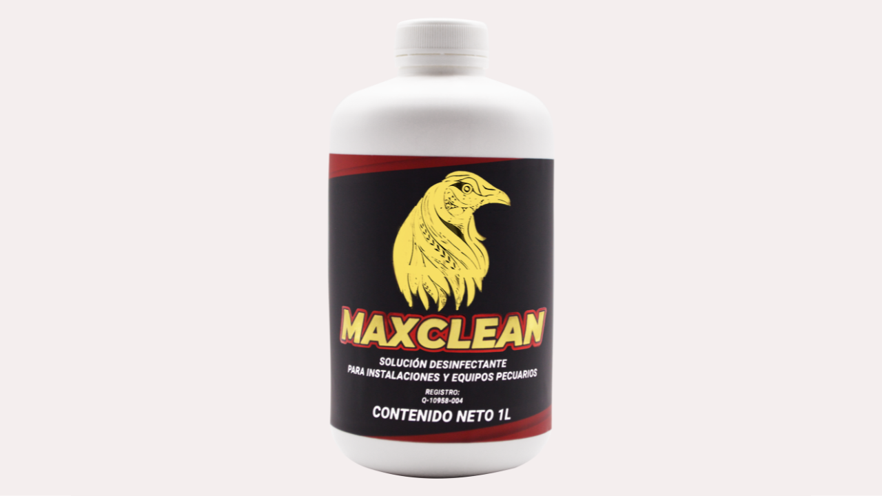 MAXCLEAN
