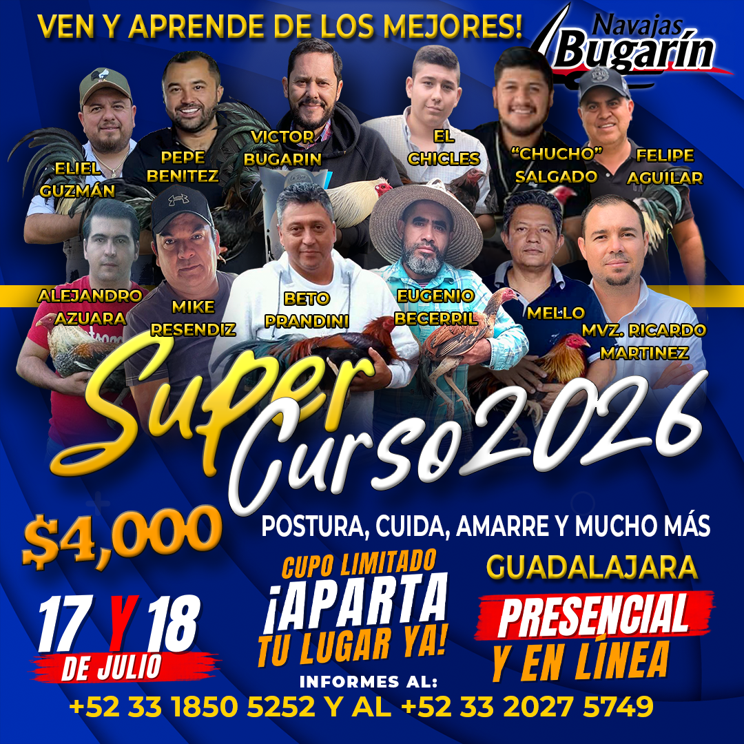 Curso